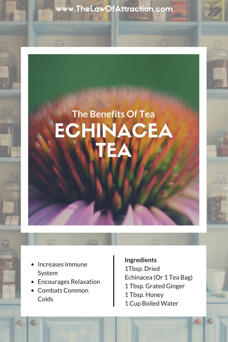 té de equinácea